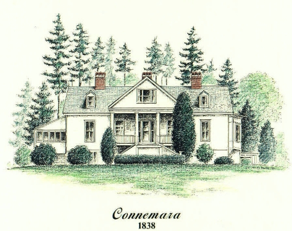Carl Sandburg home "Connemara" pen & ink drawing by Lee James Pantas
