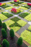 North Carolina Arboretum