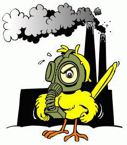 Copyright � 2000 The Canary Coalition, All Rights Reserved