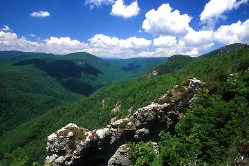 Pisgah National Forest