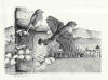 Bonclarken, pen & ink drawing by Lee James Pantas