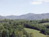 Reems Creek Valley, Weaverville NC