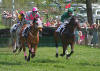 Riders and horses in the Blockhouse Steeplechase in Tryon North Carolina