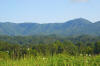 Near Bryson City NC