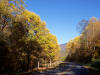 In Yancey County near Burnsville NC