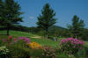 In Sugar Mountain NC