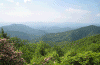 In Little Switzerland NC